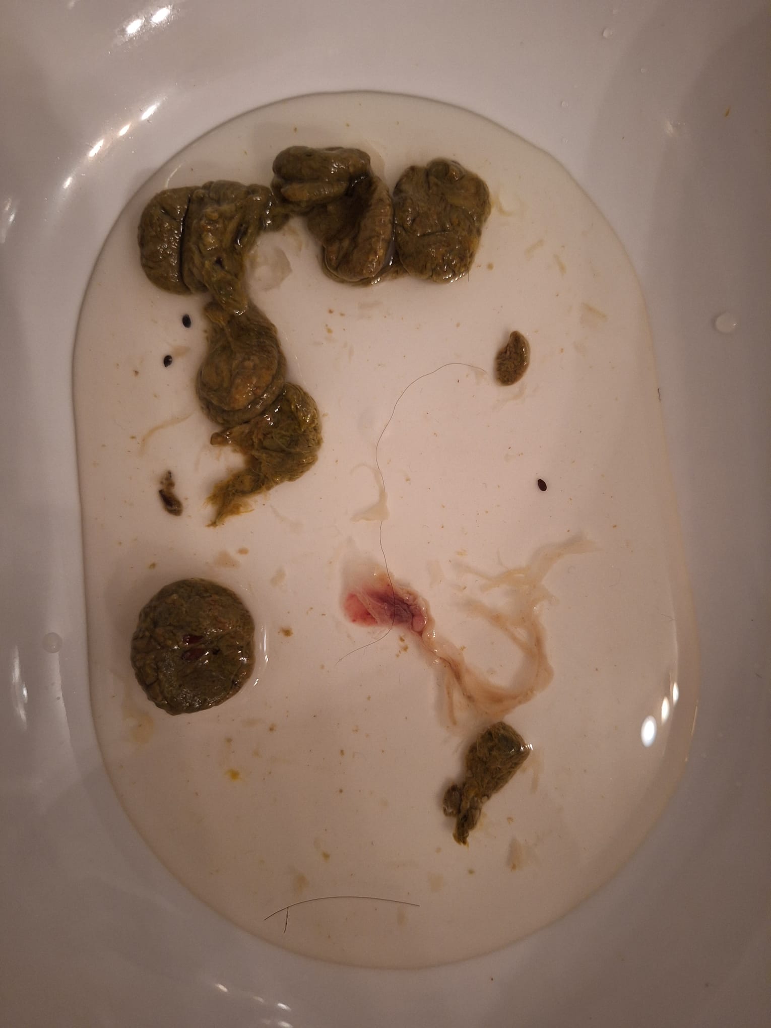 Ergebnis Teilnehmer 9