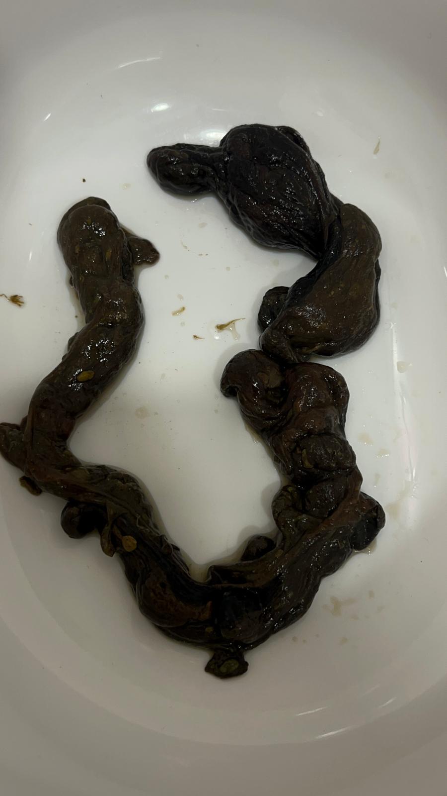 Ergebnis Teilnehmer 2