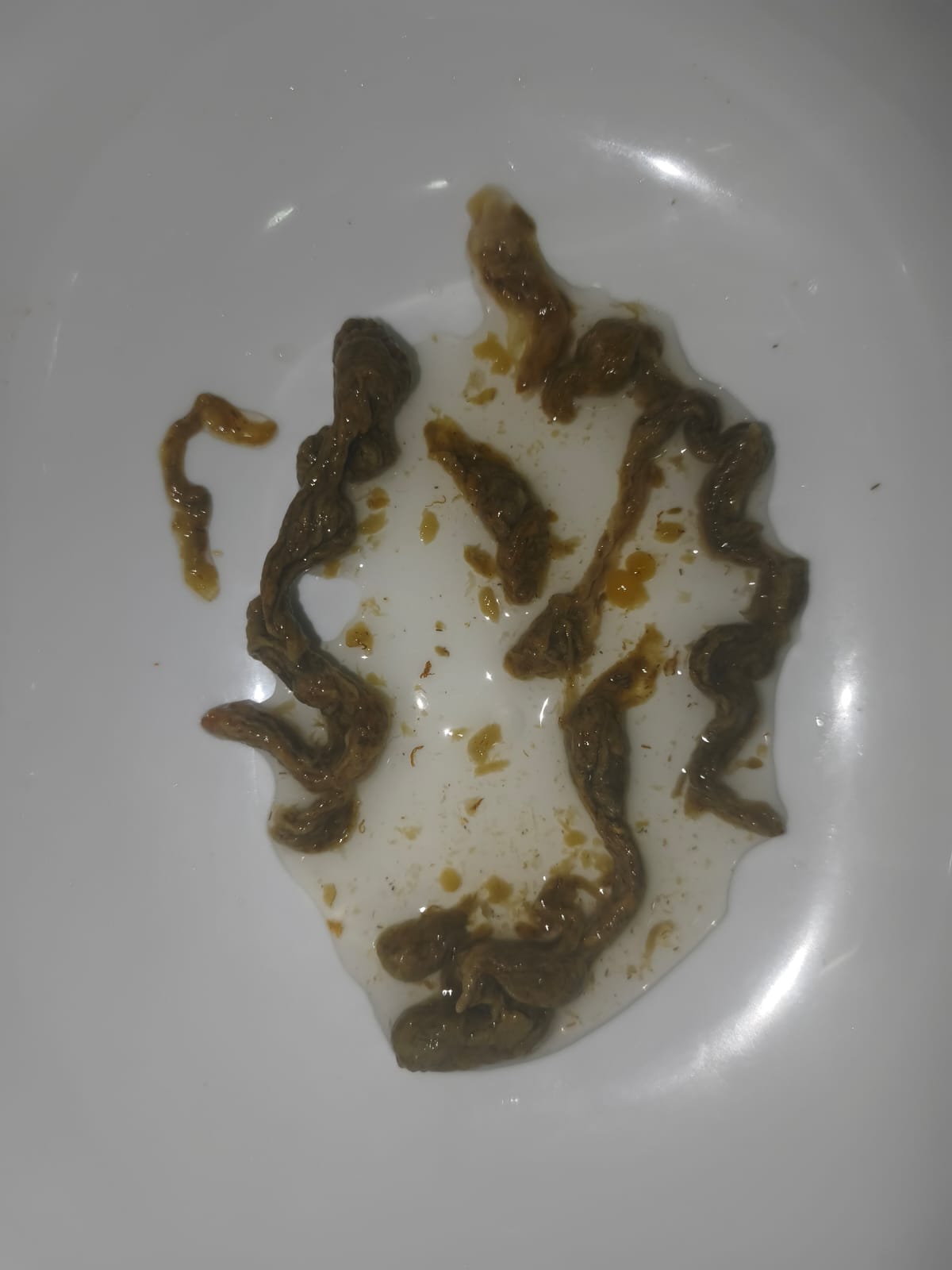 Ergebnis Teilnehmer 5