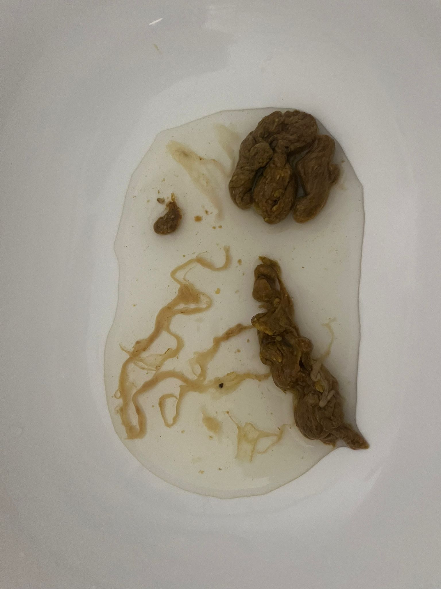 Ergebnis Teilnehmer 6